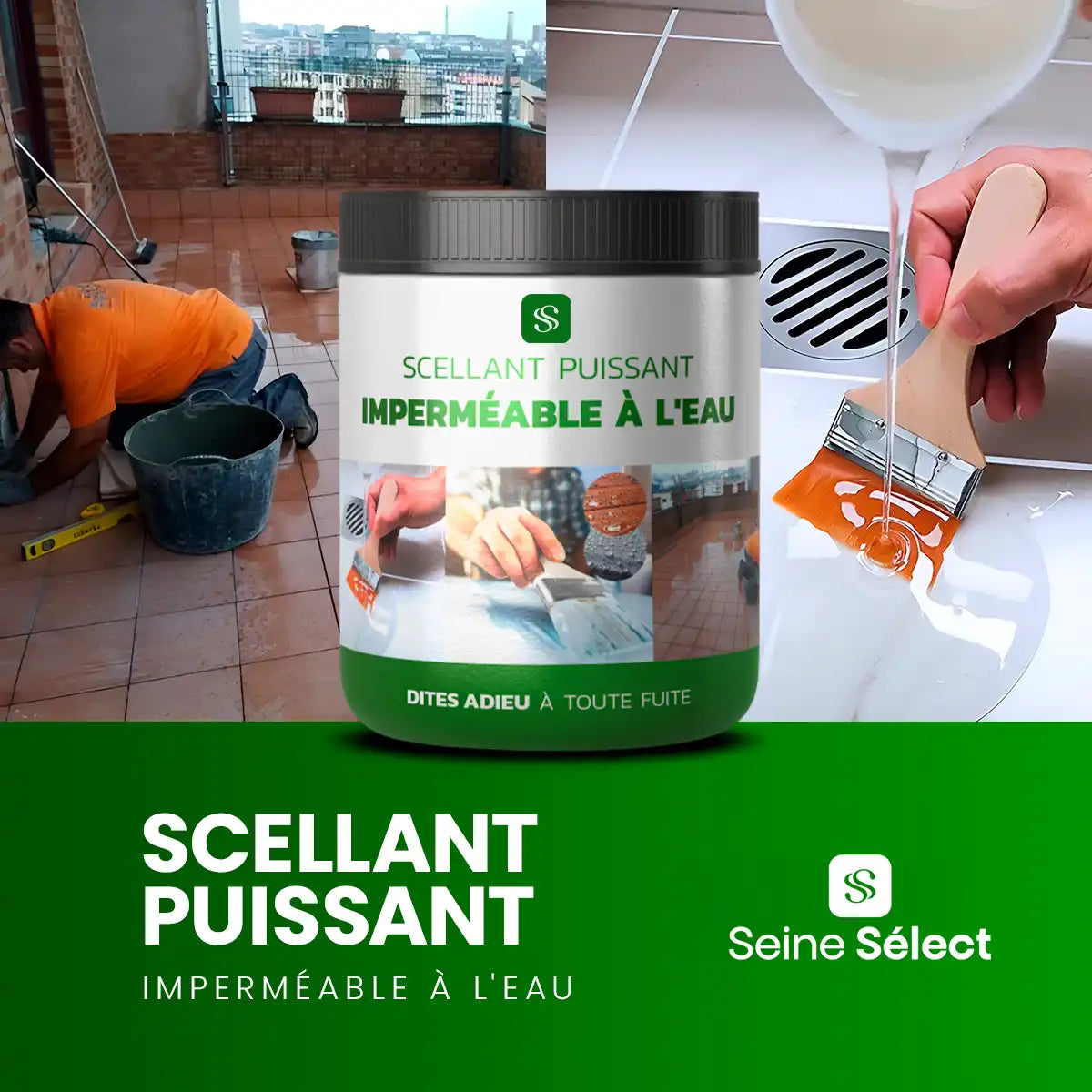 SeineProtect - Solution Imperméable Fiable pour Votre Maison