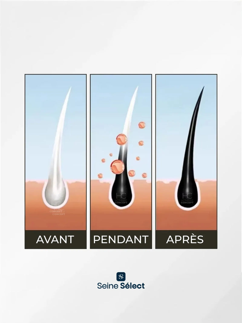 Shampooing Brimless Botanique 3-en-1 – Couleur, Force et Jeunesse Instantanées