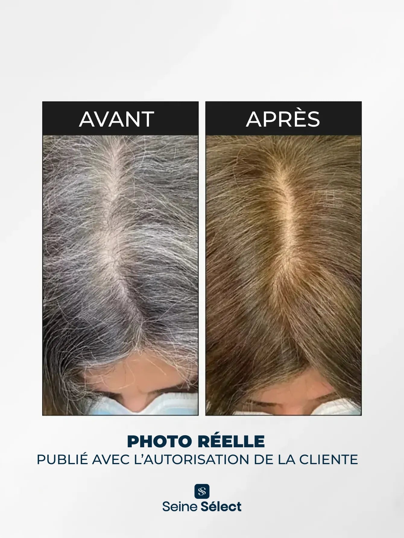 Shampooing Brimless Botanique 3-en-1 – Couleur, Force et Jeunesse Instantanées